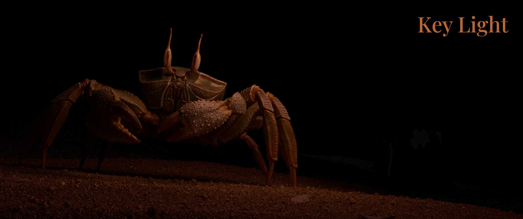 crab_lighting_key