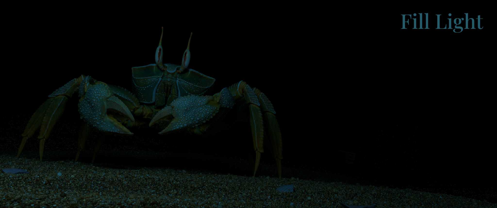 crab_lighting_Fill