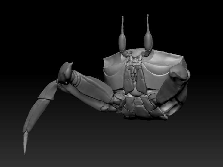 crab_modeling_02